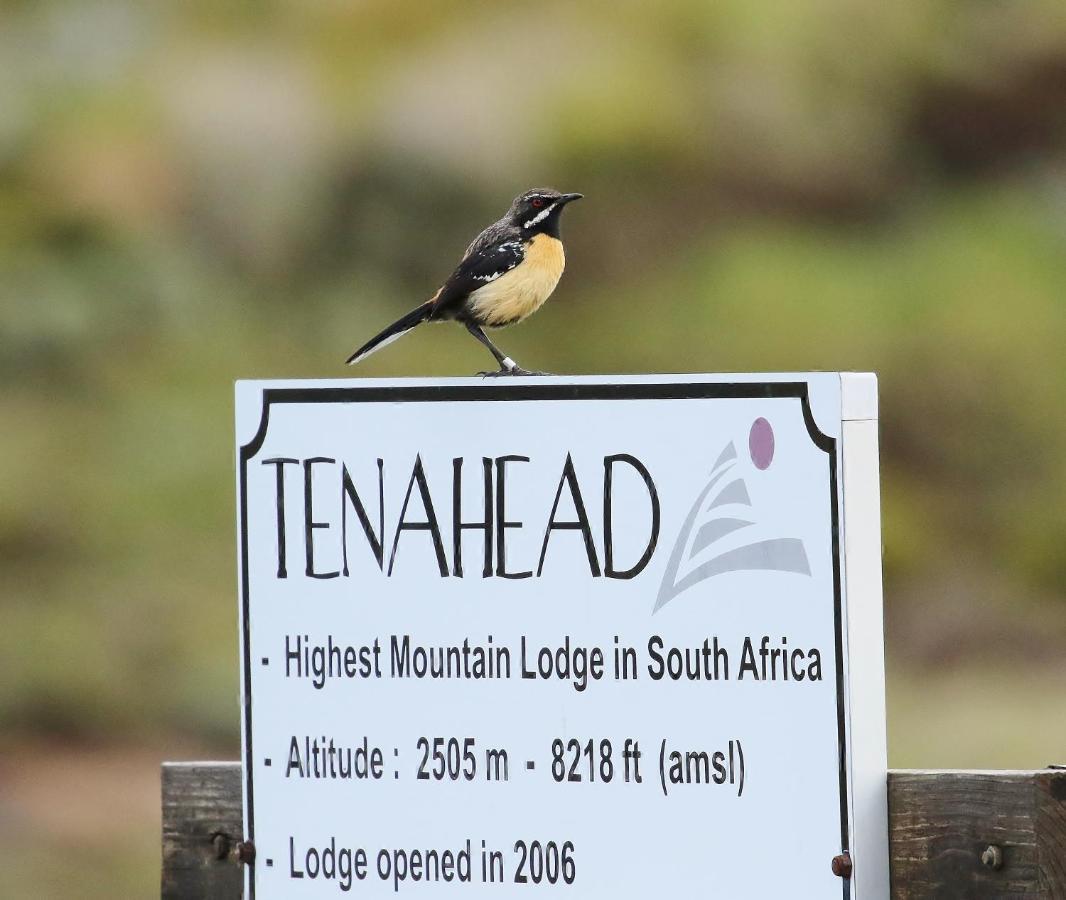 Rhodes Tenahead Lodge & Spa מראה חיצוני תמונה
